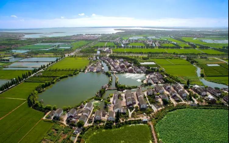 參與全國文明城市創(chuàng)建，從記住這些開始！（三）-9.jpg